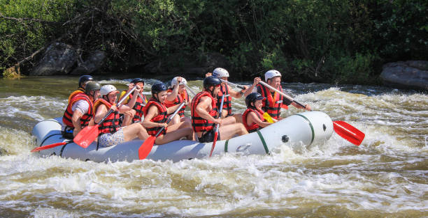 래프팅 팀, 여름 극단적 인 수상 스포츠. - teamwork river rafting costa rica 뉴스 사진 이미지