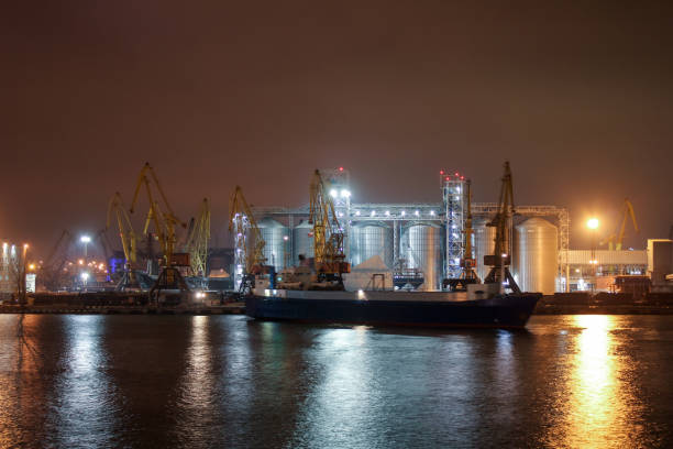 istock Cargo operation with bulk carrier vessel. Big  cargo terminal at seaport. 1218958351
