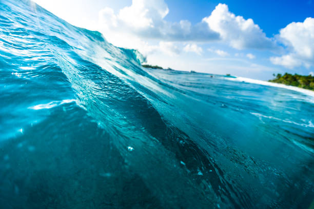 istock Ocean wave breaks over the coral reef 1218961679