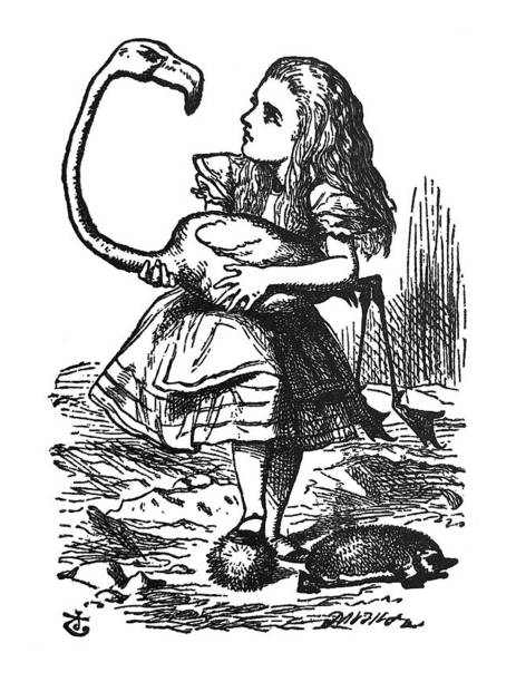 Alice in Wonderland Antique illustration - Alice holding a flamingo Alice in Wonderland 1897 john tenniel stock illustrations