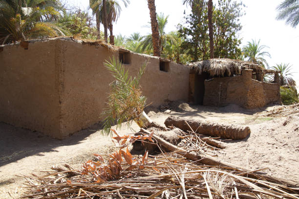 istock Nubian village in Aswan, Egypt 1218963947