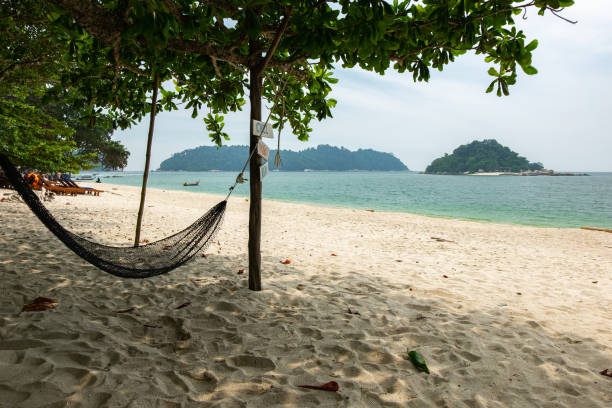 istock empty hammock for relaxing at the beach during summer vacation at Pangkor Island located in Perak State, Malaysia 1218964020