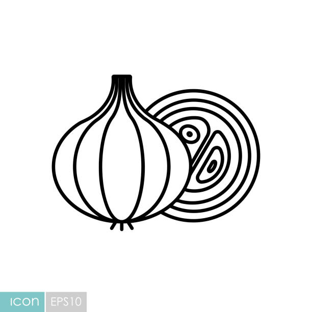 ilustrações, clipart, desenhos animados e ícones de ícone vetorial de cebola. símbolo vegetal - onion