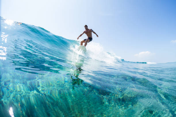 istock Surfer rides the glassy ocean wave in tropics 1218965738