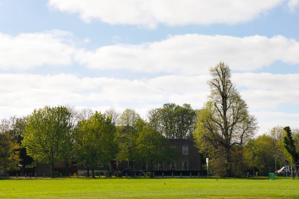 istock Skyline of trees with spring blue skies 1218967255