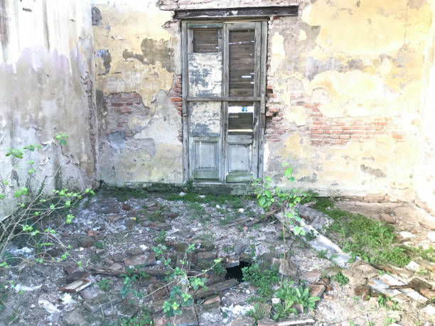 istock Cellar ruins in Montevideo and old ranch 1218967602