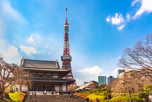 tokyo, japan - march 05 2020: Japanese zojoji temple which is the funeral temple of the Tokugawa shoguns near the Tokyo tower during a beautiful sunny day.