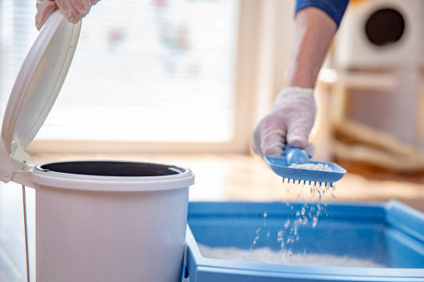 zbliżenie pet właściciel czyszczenie kot kuwety i kładzenie pozostaje w koszu na śmieci - litter box box clean shovel zdjęcia i obrazy z banku zdjęć