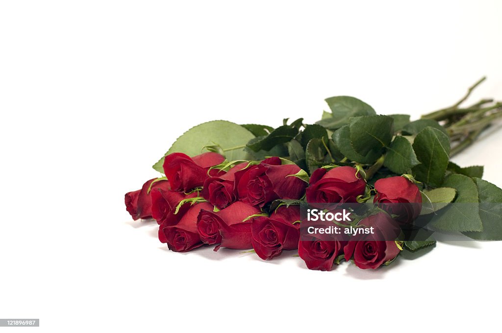 Une douzaine de Roses rouges, isolé sur fond blanc - Photo de Une douzaine de roses libre de droits