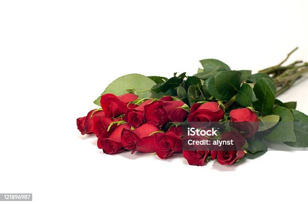 Dozen Red Roses Isolated On White Stock Photo - Download Image Now - Dozen Roses, Bouquet, Bunch