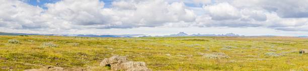 istock Panoramic view about wide southern Iceland veld in summer during daytime 1218970642