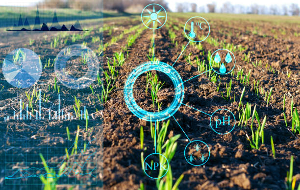 istock analysis and processing of data on plant growth in the field. Scheduling and regulation of production to increase harvest. Field sensors and virtual reality to help the farmer 1218970887