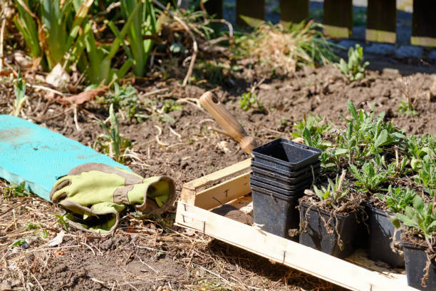 istock Gardening equipment in springtime garden 1218972134