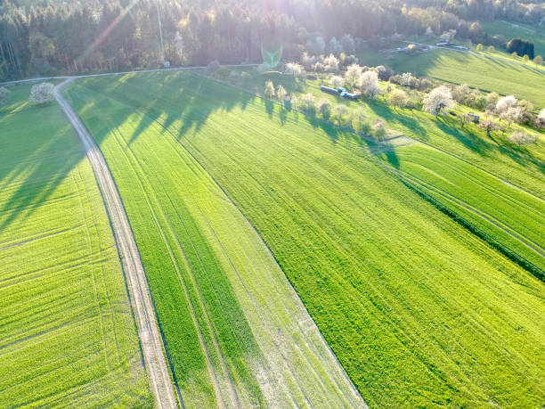 istock Aerial View of a Field and a forest in Spring 1218975353