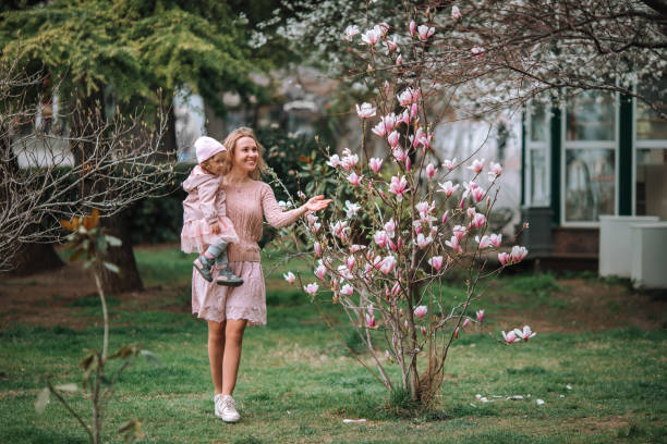 szczęśliwa matka z uroczą córeczką pokazuje jej kwitnącą magnolie. - sweet magnolia tree blossom white zdjęcia i obrazy z banku zdjęć