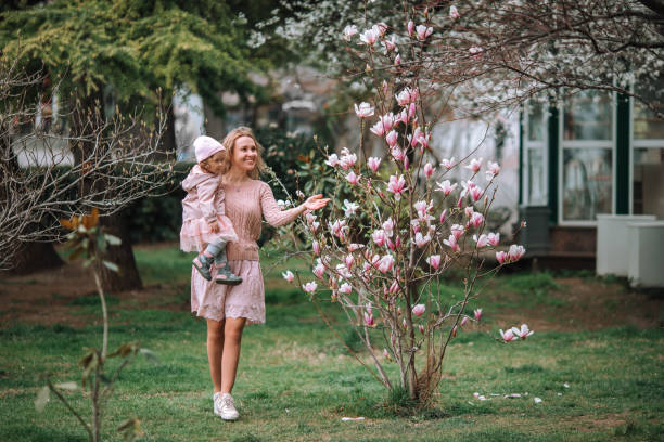 uma mãe feliz com uma filhinha fofa mostra-lhe uma magnólia florescendo. - sweet magnolia tree blossom white - fotografias e filmes do acervo