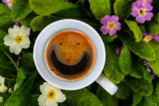 istock Smiling cup of coffee 1218979266