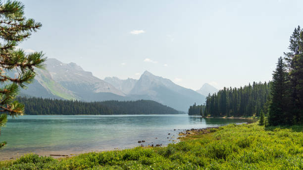 istock malignant lake, Jasper National Park, Alberta, Canada 1218979343