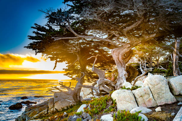 sunset at the coast near Point Lobos, USA