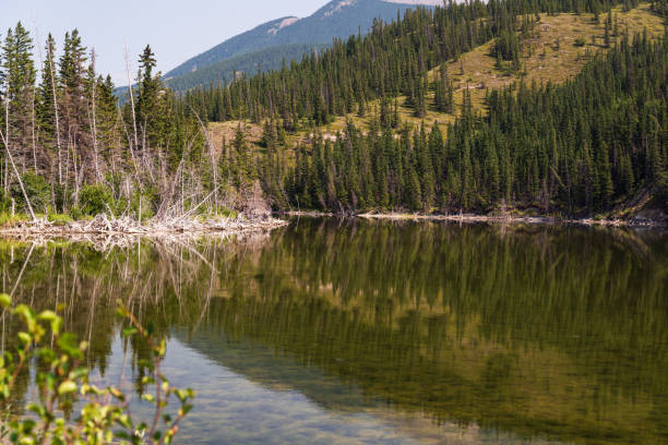 istock yellowhead highway scenery, Jasper National Park, Alberta, Canada 1218979913
