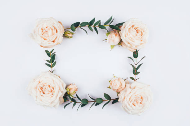 istock Frame of rose flowers and eucalyptus branches on a white background. 1218980906
