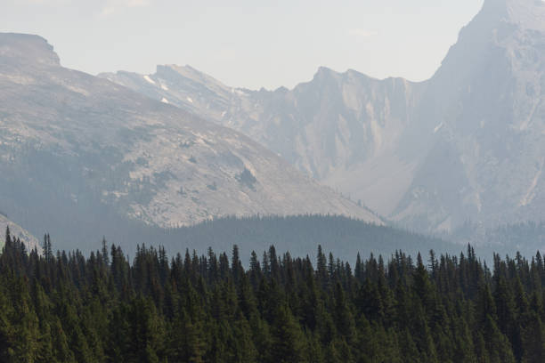 istock malignant lake, Jasper National Park, Alberta, Canada 1218981210