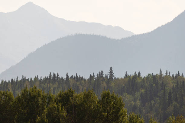 istock yellowhead highway scenery, Jasper National Park, Alberta, Canada 1218981693