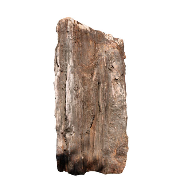 istock Big stone brown (bogwood) Isolated on the white background. 1218984014