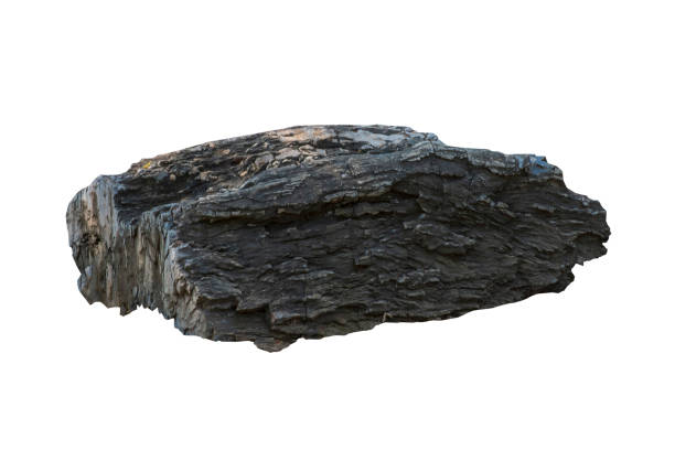 istock Big stone brown (bogwood) Isolated on the white background. 1218984040