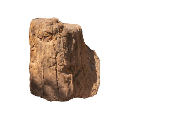 istock Big stone brown (bogwood) Isolated on the white background. 1218984061