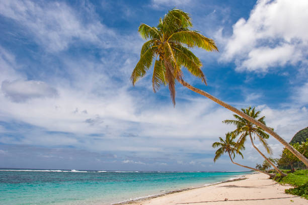 istock Tropical landscape on the Republic of Samoa 1218984291
