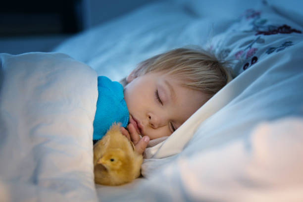 istock Little toddler, sleeping in bed with little chick 1218984318