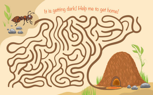 Marching Ants Maze