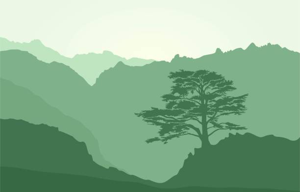Mountains landscape with rocks and lebanese cedar vector art illustration