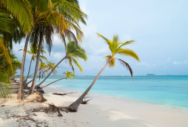 istock San blas Island, Kuna Yala, Panama 1218986238