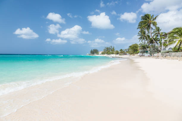 istock View on Coral Mist Beach on Barbados during daytime 1218986917