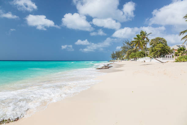 istock View on Coral Mist Beach on Barbados during daytime 1218986918