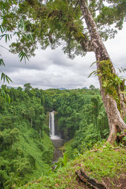 istock Tropical landscape on the Republic of Samoa 1218987747