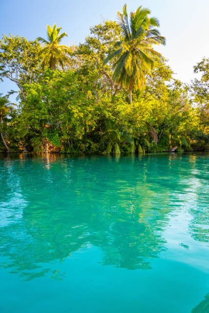 istock Seven Color Lagoon in Bacalar 1218990022