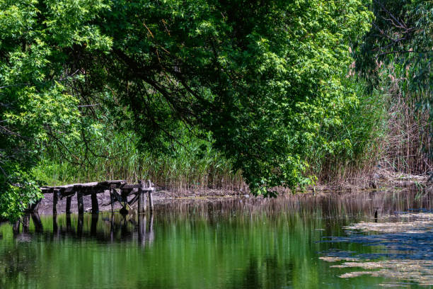 istock Mooring pier for a small boat. Summer river 1218990991