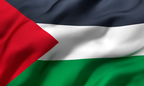 bandeira da palestina soprando ao vento - cultura palestina - fotografias e filmes do acervo