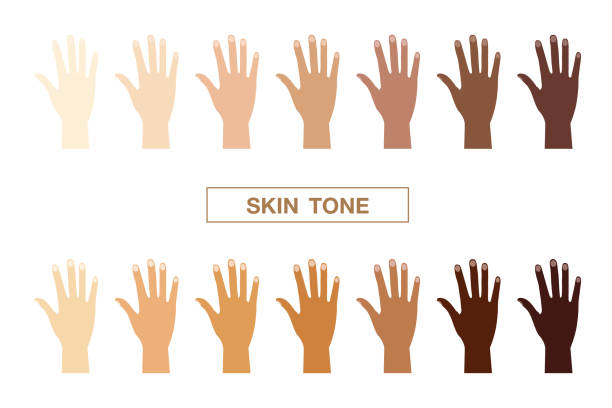 skin tone, vector icon skin tone, vector icon skin tone chart stock illustrations