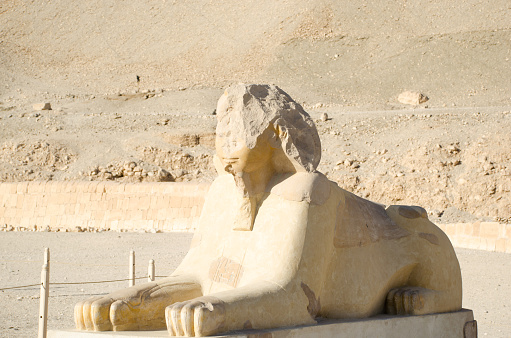Luxor, Egypt. Sphinx near Mortuary Temple of Hatshepsut.