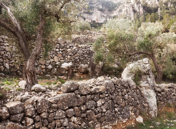istock Dry Stone in Teruel province 1218996435