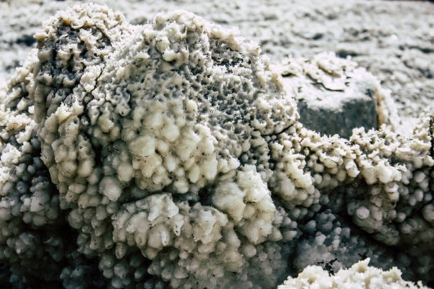 Dead Sea Israel April 21, 2018 Closeup of crystal salt from the Dead Sea in Israel