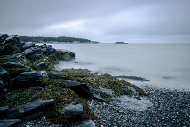 istock Rainy long exposure in the day. 1219000966