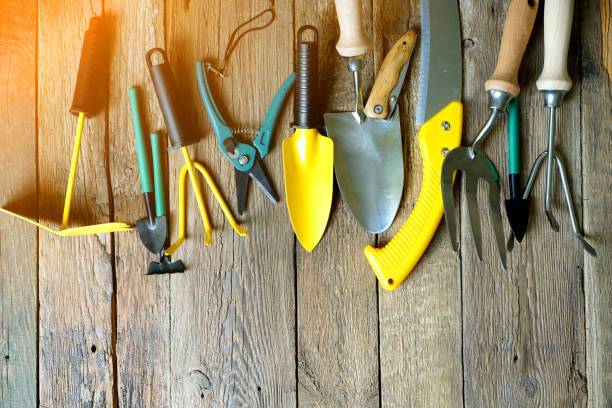 istock Garden tools set on the wooden terrace. 1219001030
