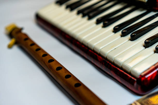 istock Accordion and duduk on a white background 1219005280