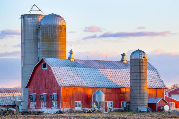 istock Classic red barn with silos, large and small, in the light of sunset. 1219007075