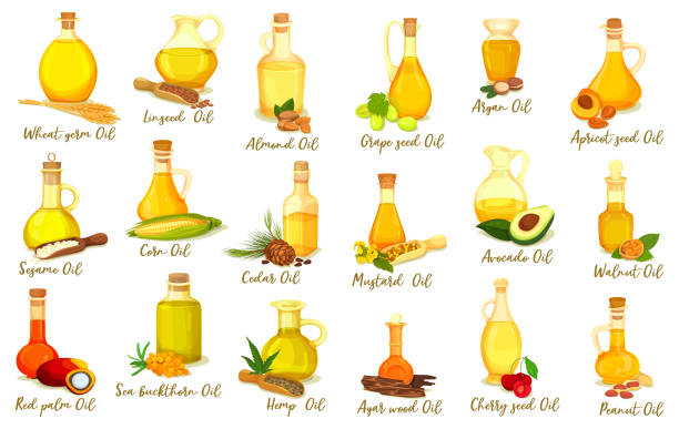 Set of isolated nut oil bottles, organic drink Set of isolated nut oil bottles. Drink and body care, medicine product. Grape and argan, wheat and apricot, mustard and linseed, almond, sesame, corn, avocado, cedar, walnut, red palm. Vegetarian jar mustard fruits stock illustrations